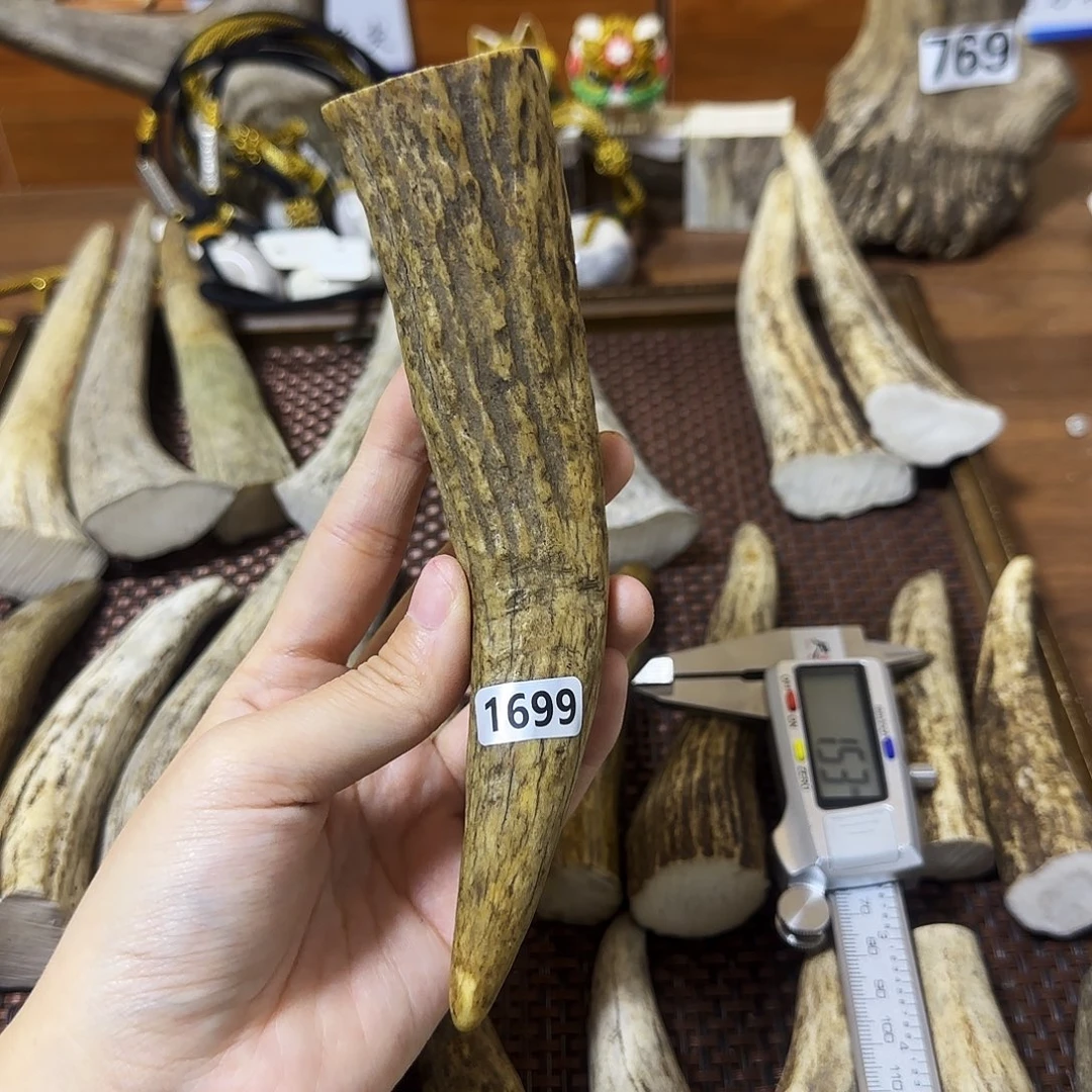 鹿骨手串/手链1699角尖