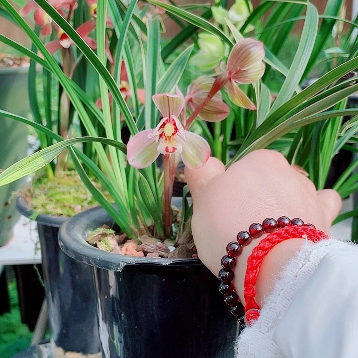 明***我完全开放一物一漂亮