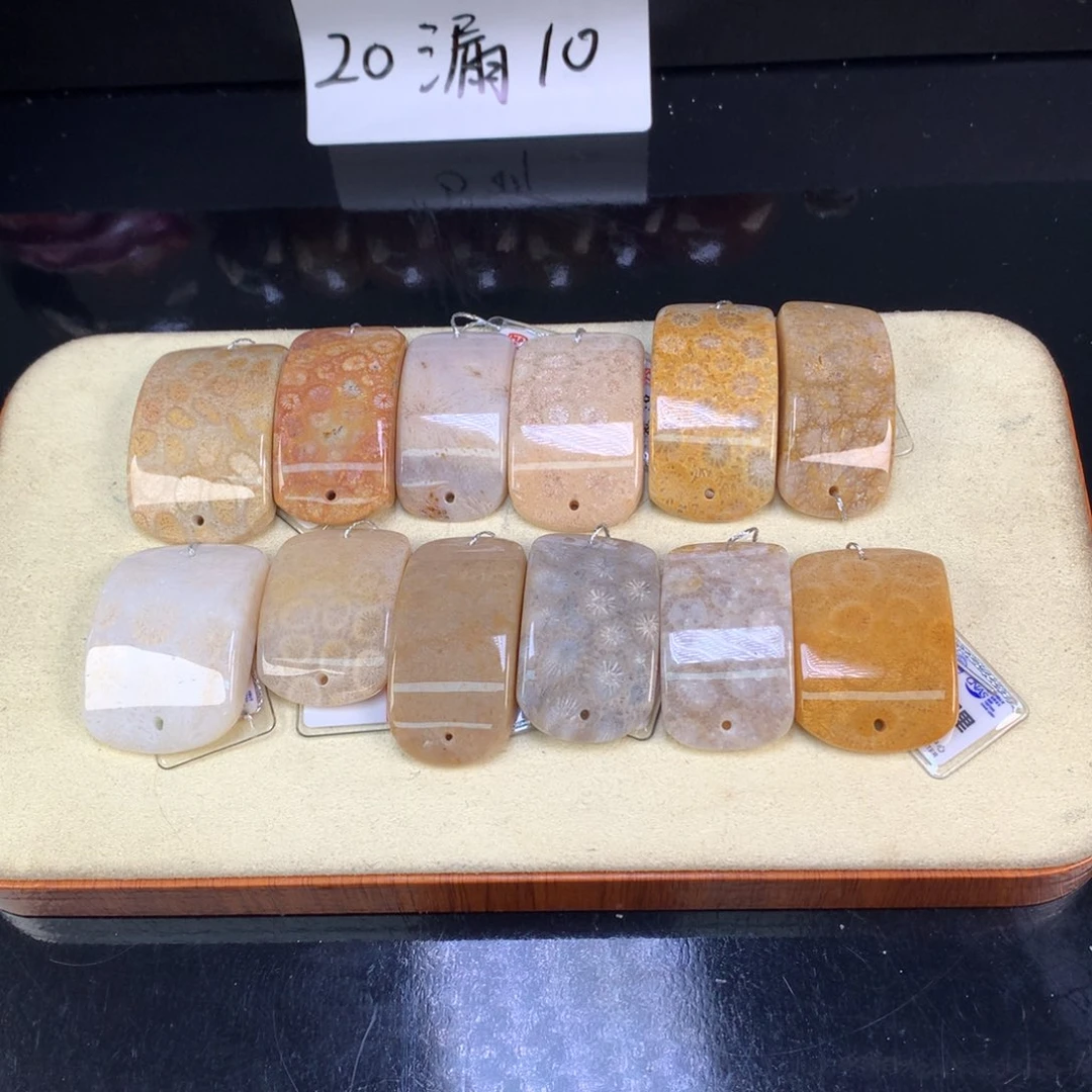 硅化珊瑚（珊瑚玉）未镶嵌吊坠(赠链)10米一个可挑（61号）