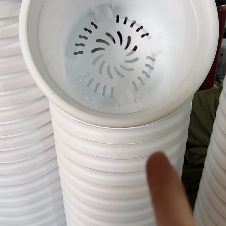 四季3号纯白无托10个特价微瑕