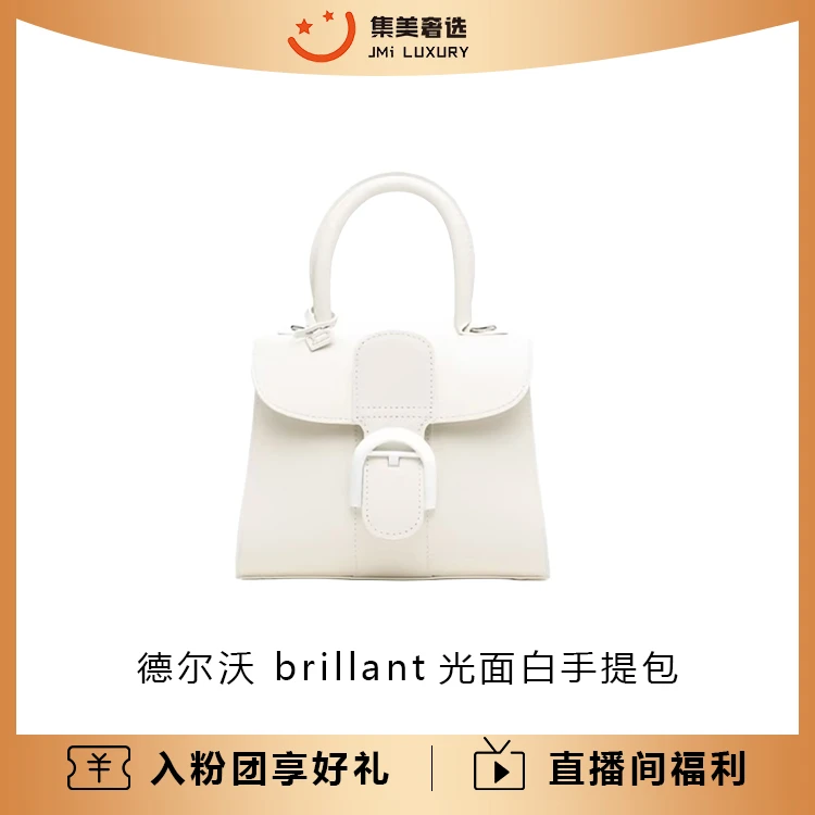 99新 Delvaux/德尔沃 Brillant光面白色手提/安琪