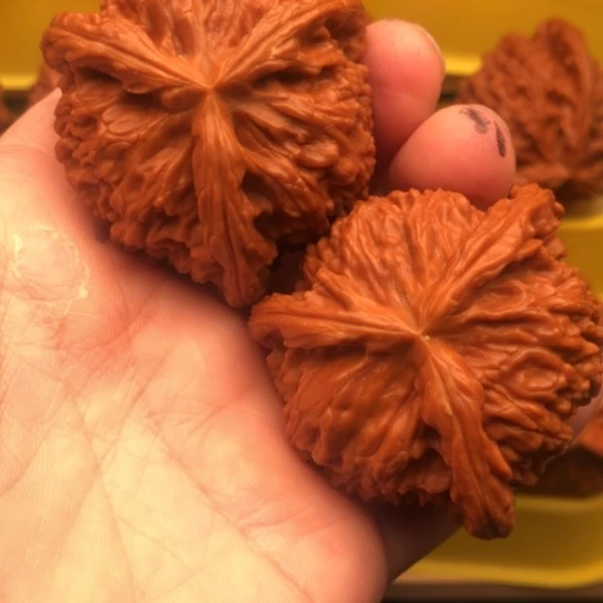 晴***李核桃核桃核桃核桃核桃