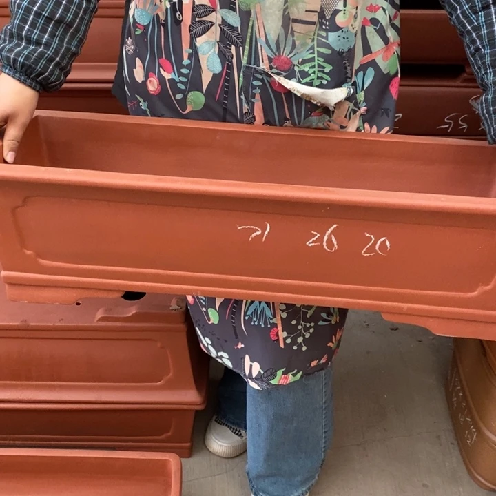 紫砂花盆只顾看手机的