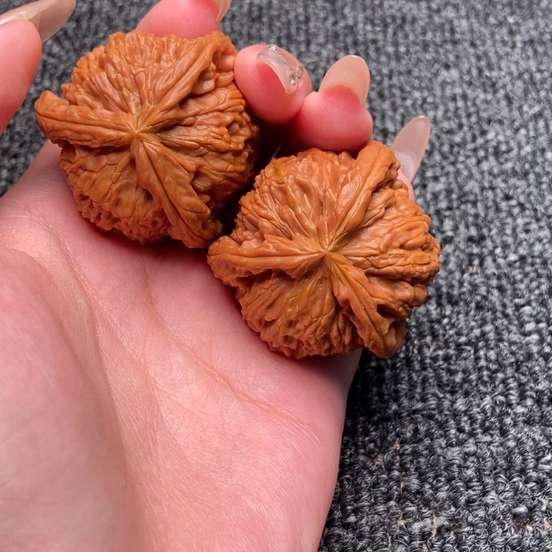 打****木质类白狮子正奔