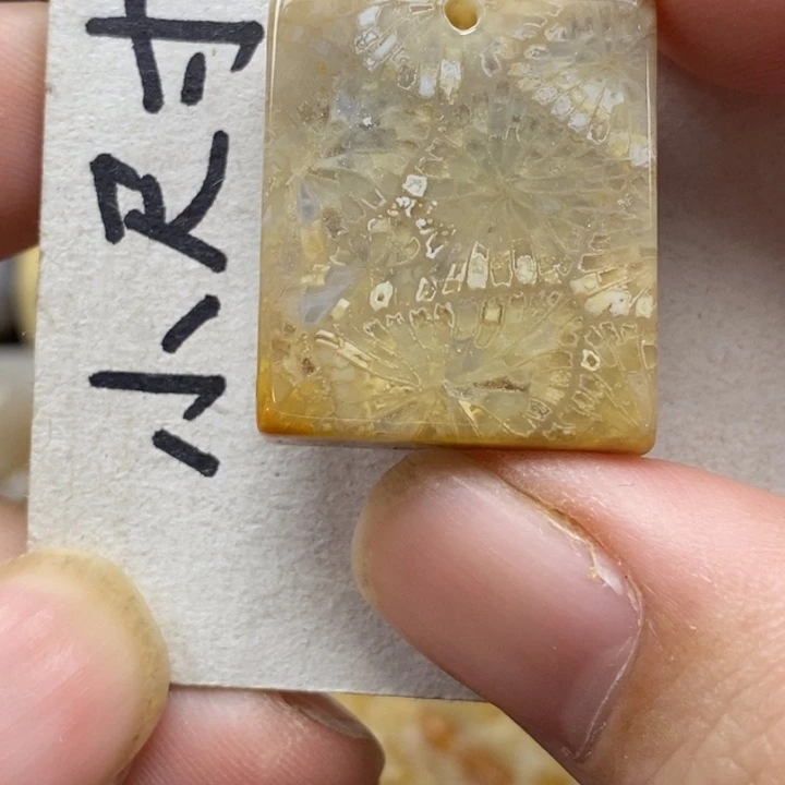 硅化珊瑚（珊瑚玉）未镶嵌颈饰