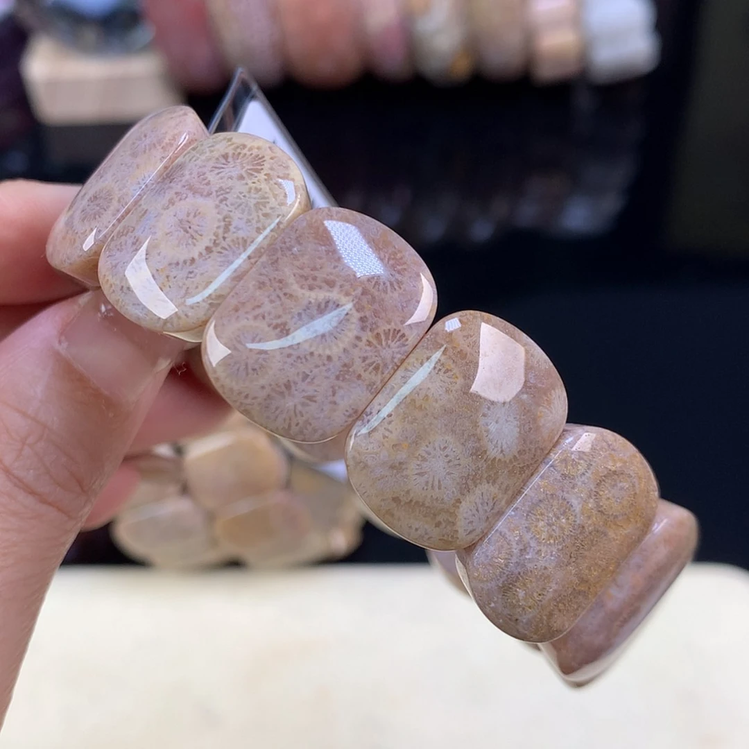 【闪购商品】颈饰未镶嵌硅化珊瑚（珊瑚玉）开播福利6号