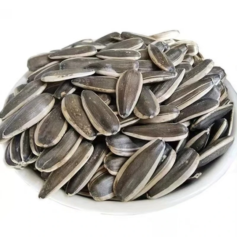 两斤装生瓜子新鲜葵瓜子好吃不上火云仓直发