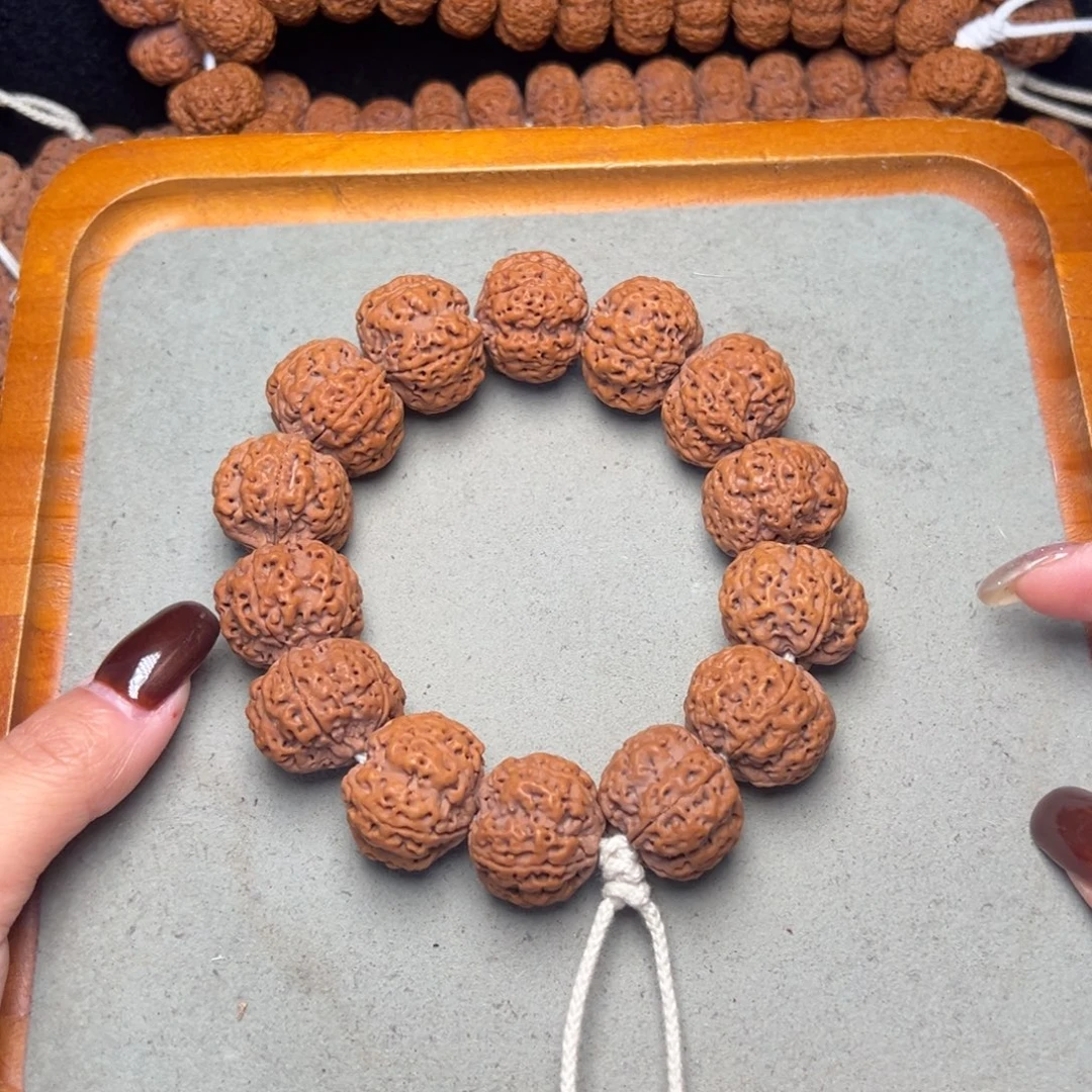 菩提15号金刚菩提安娜梅花24