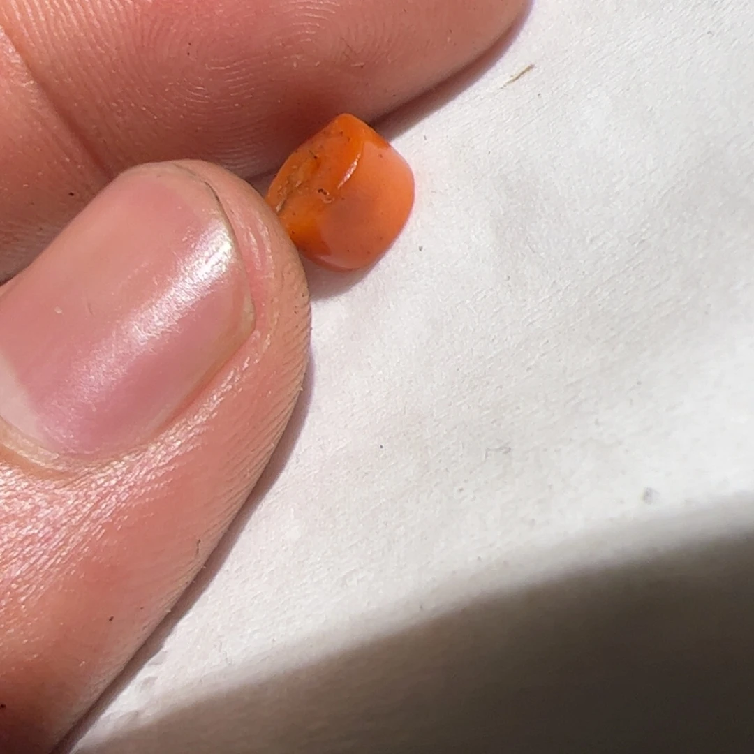 项圈玻璃你在一起吗