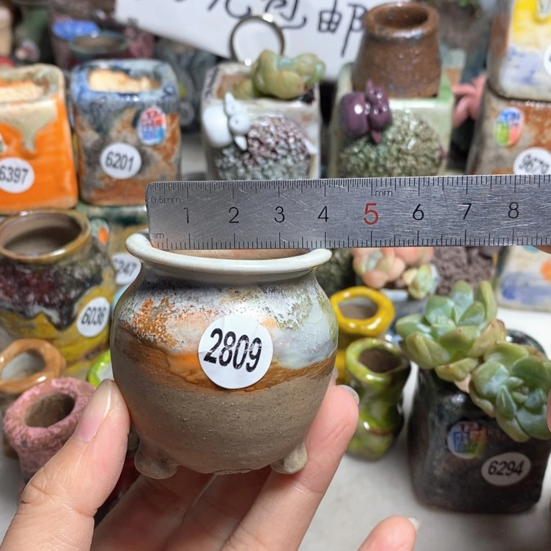拍3送一个小礼物
