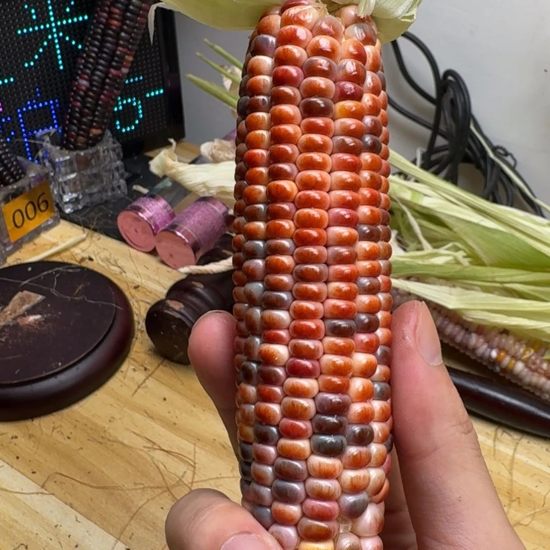 柏香籽/百香籽吊坠用****9