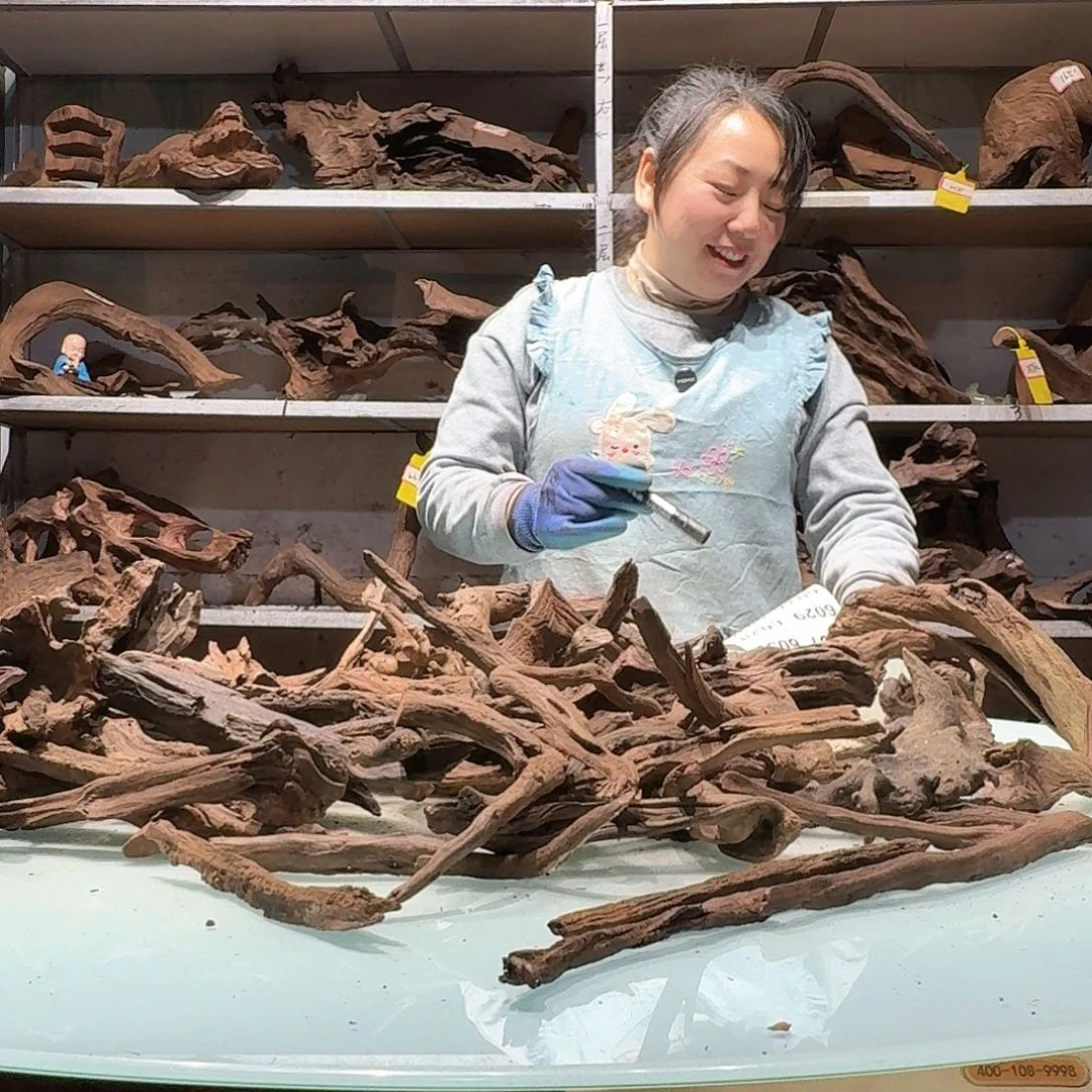 倍褚沉木不包损必褪色-****颜6022紫柚枝