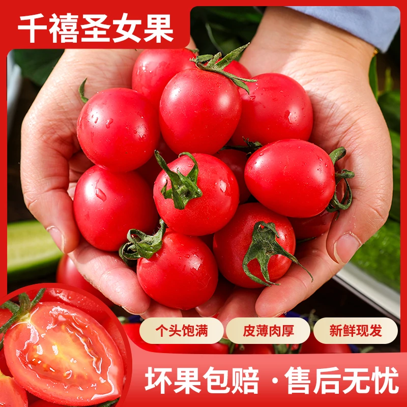 【顺丰包邮】广东电白千禧圣女果2斤装酸甜可口