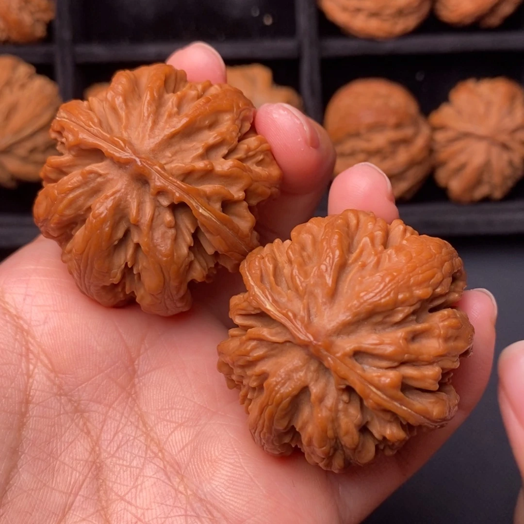 秦岭野生文玩核桃