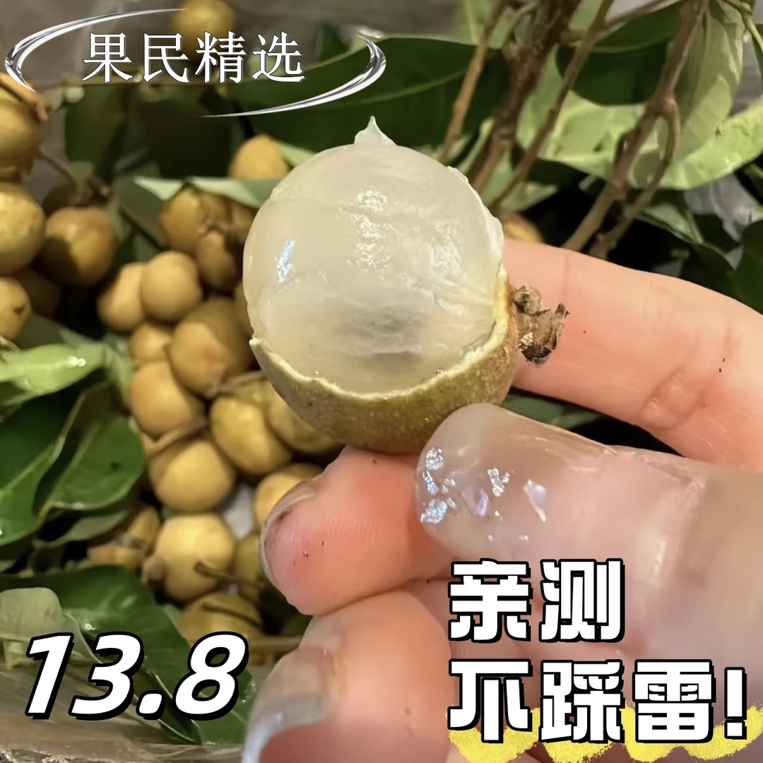 【JD冷链】福建老树石峡/储良龙眼 新鲜现摘应季水果桂圆龙眼