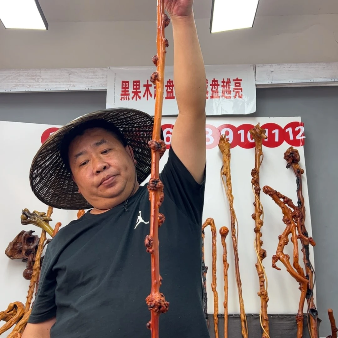 用***3黑果木其他黑果木612