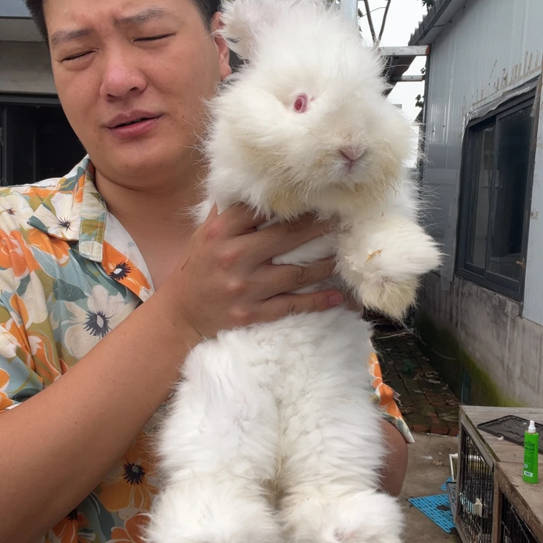 伊***丶1111111111111宠物