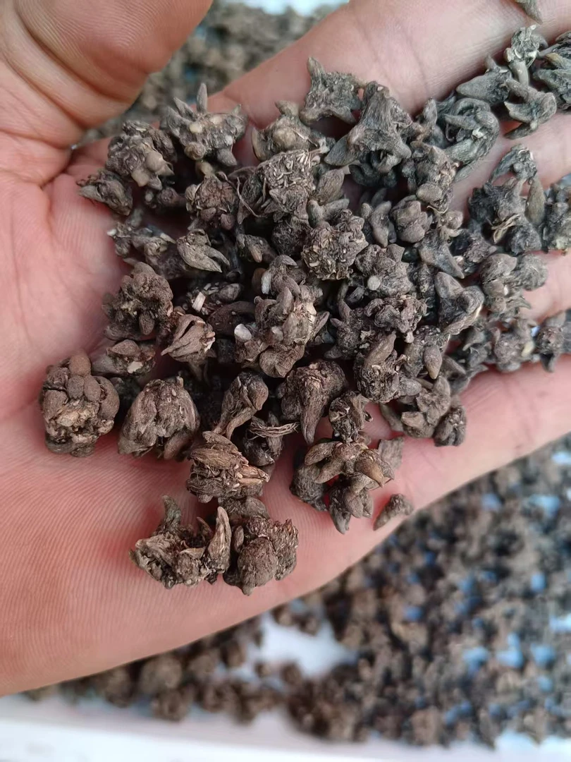 【猫爪草】猫爪草 煮水 养生可搭配灵芝煮水（小粒）