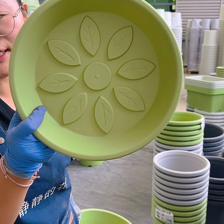 球根盆3#果绿色5个含托
