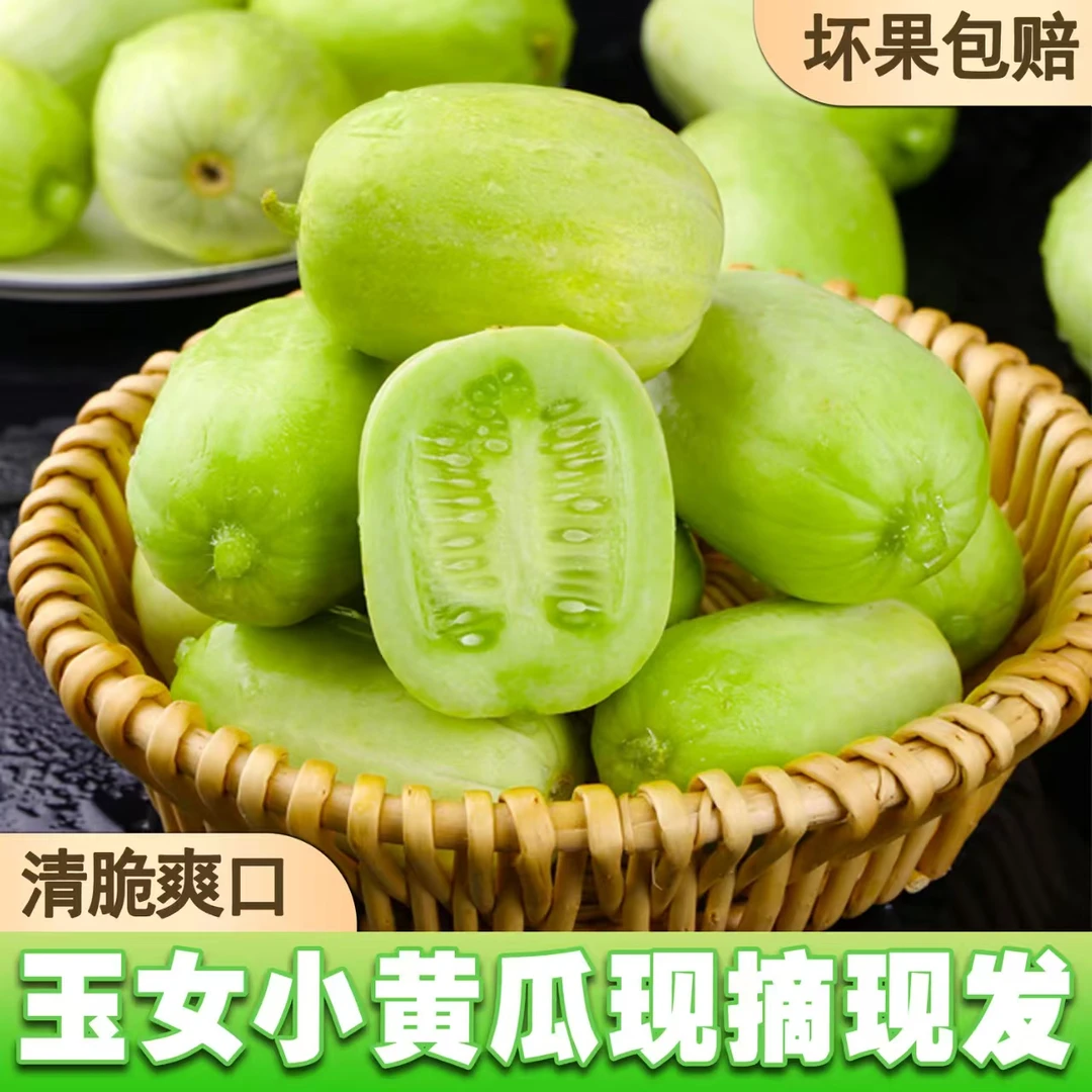 山东精品玉女水果黄瓜拇指小黄瓜迷你黄瓜生吃新鲜现摘清香甜包邮