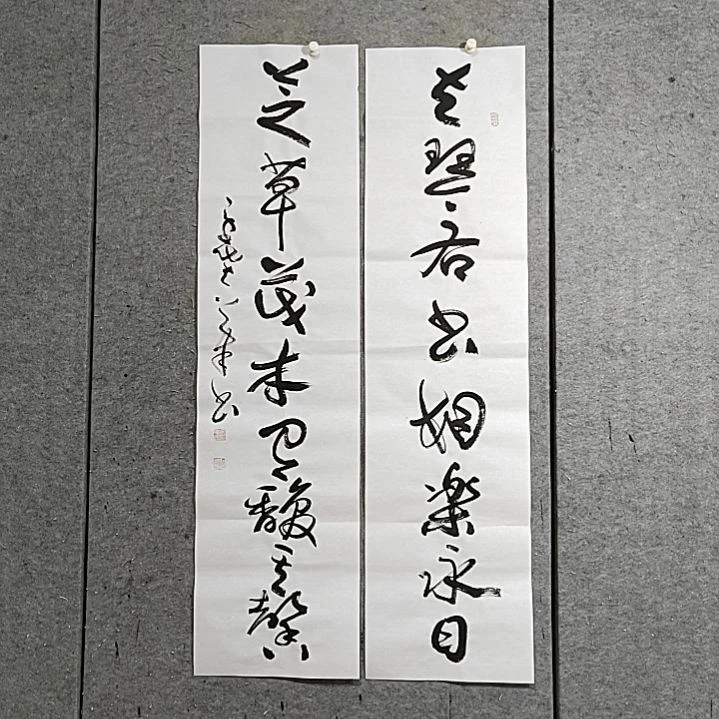 书法宋秉民。四尺对开。左琴右书相乐永日