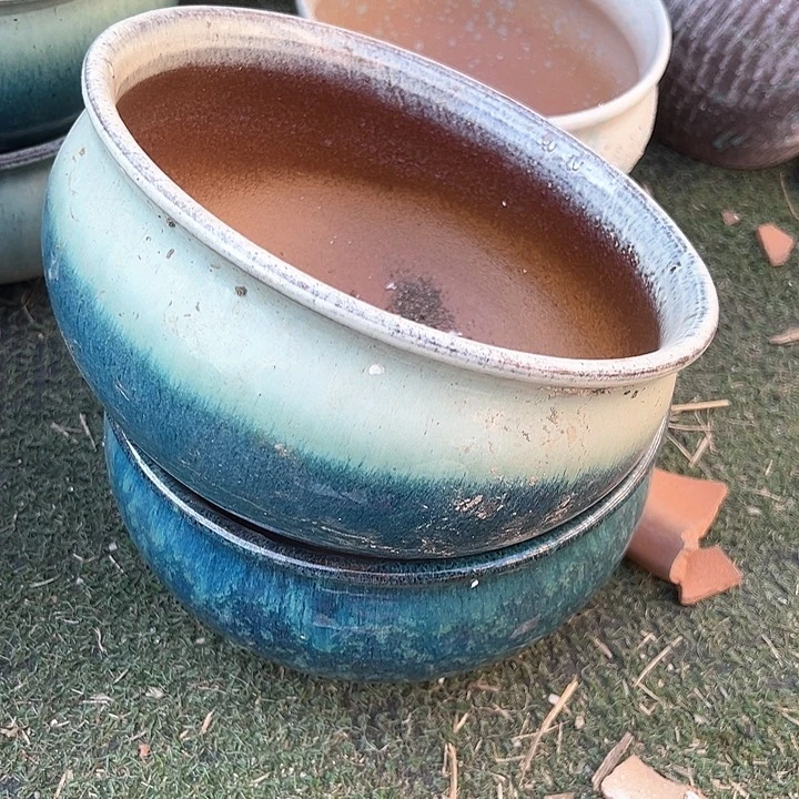 红陶口21高10.5清仓价