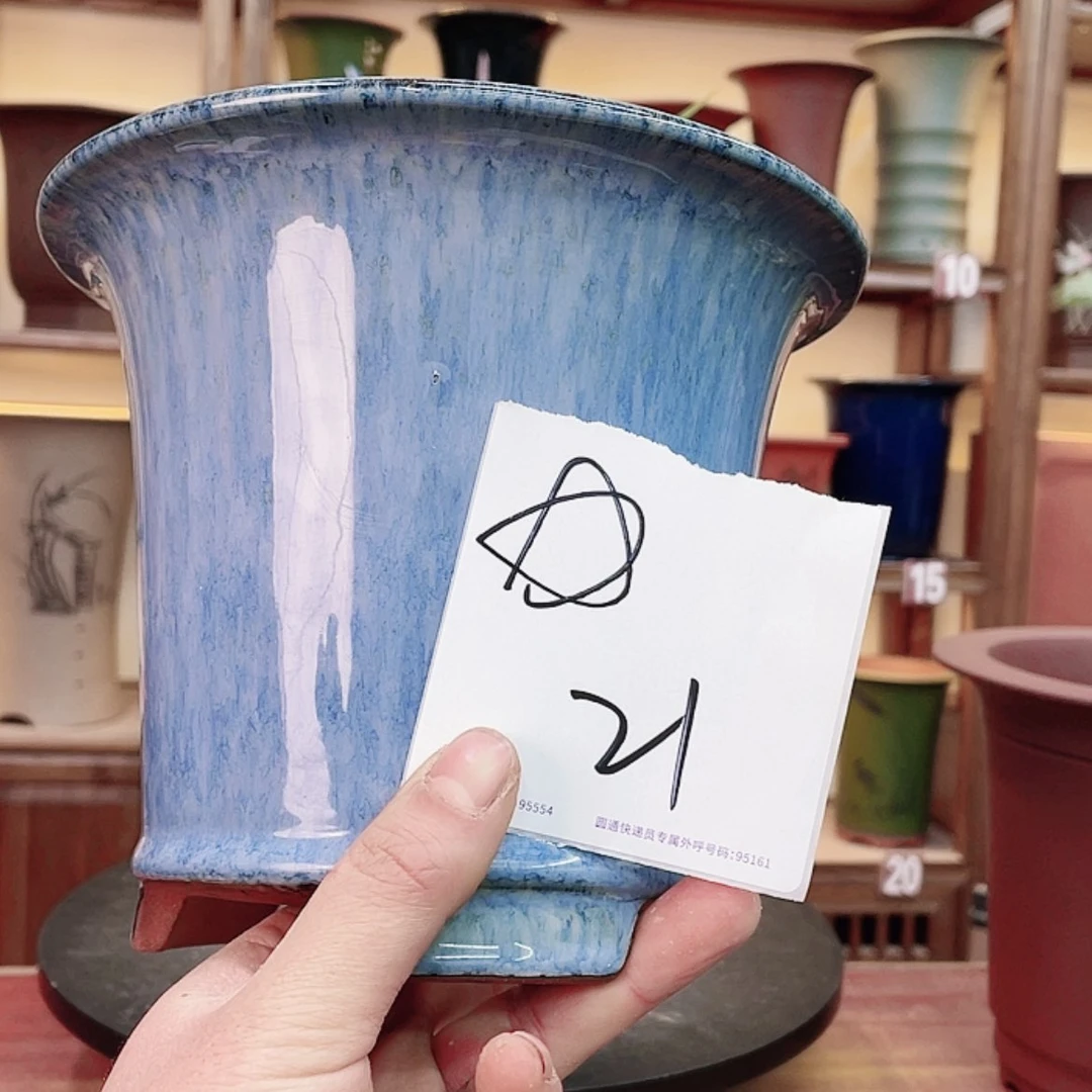 【闪购商品】紫砂花盆用****3兰花722585555669554852