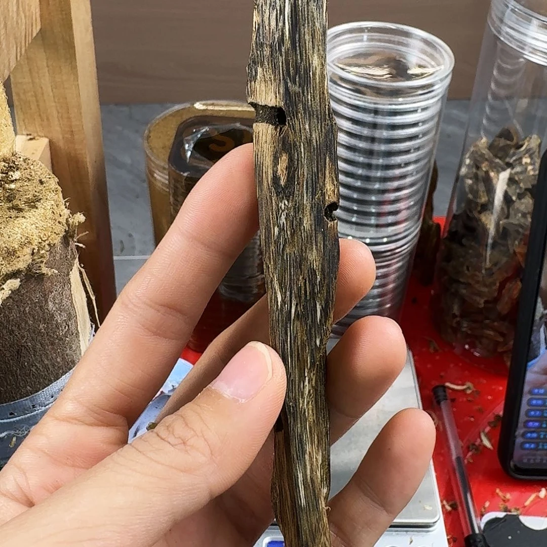 香料绿奇楠虫漏张勺子9克