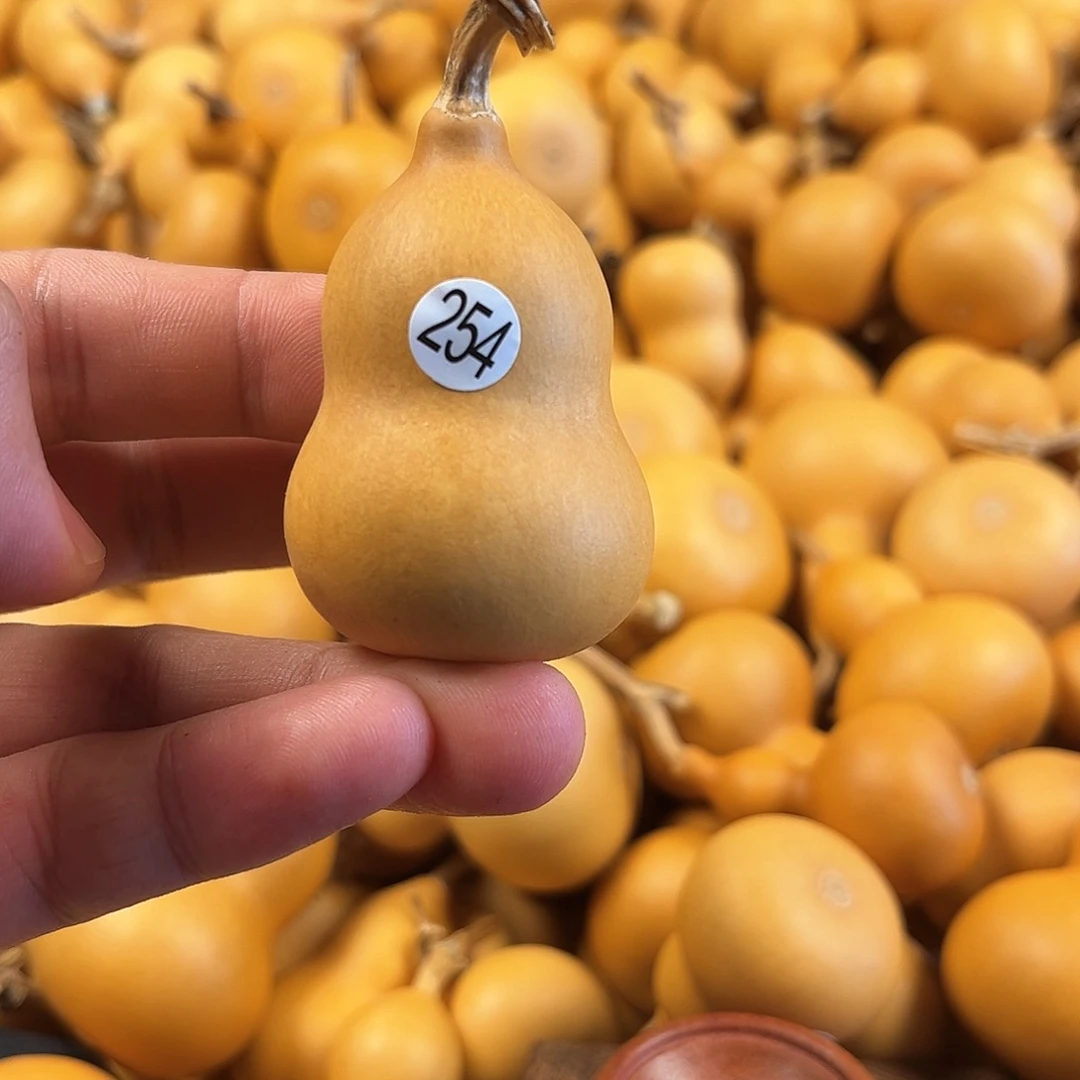 一葫芦葫芦葫芦254