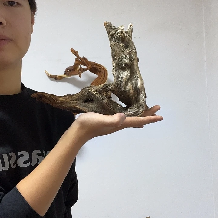 潇***雨柏木我也想说的一切