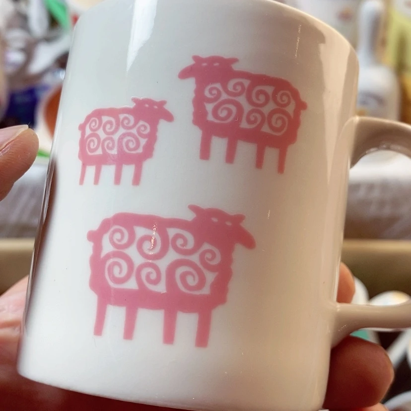 【闪购商品】盘猫***?啊啊啊啊啊啊啊啊