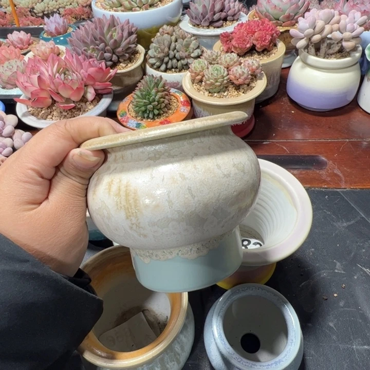 特价花盆满50发货内口8