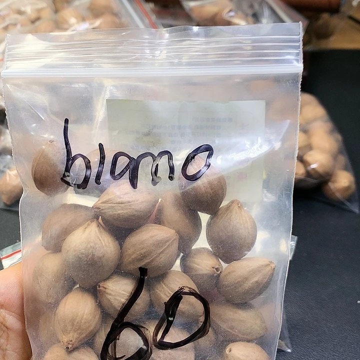 吊坠橄榄核P****o