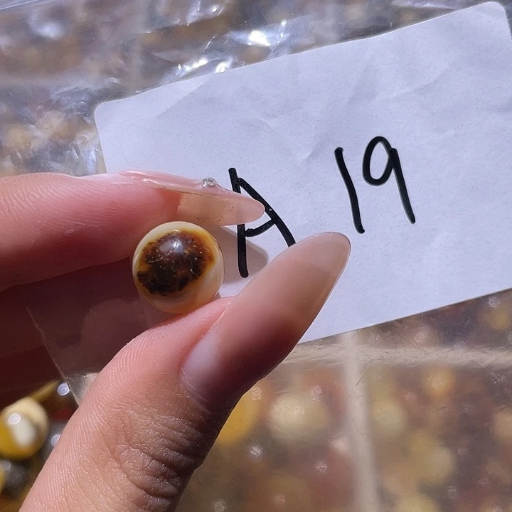 裸石琥珀未镶嵌11.5福利