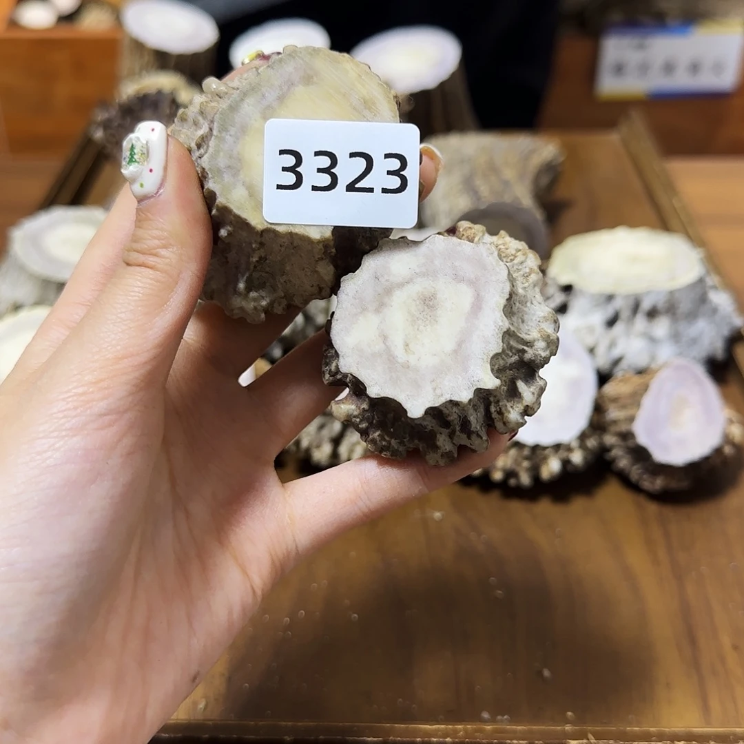 鹿骨手串/手链角帽3323