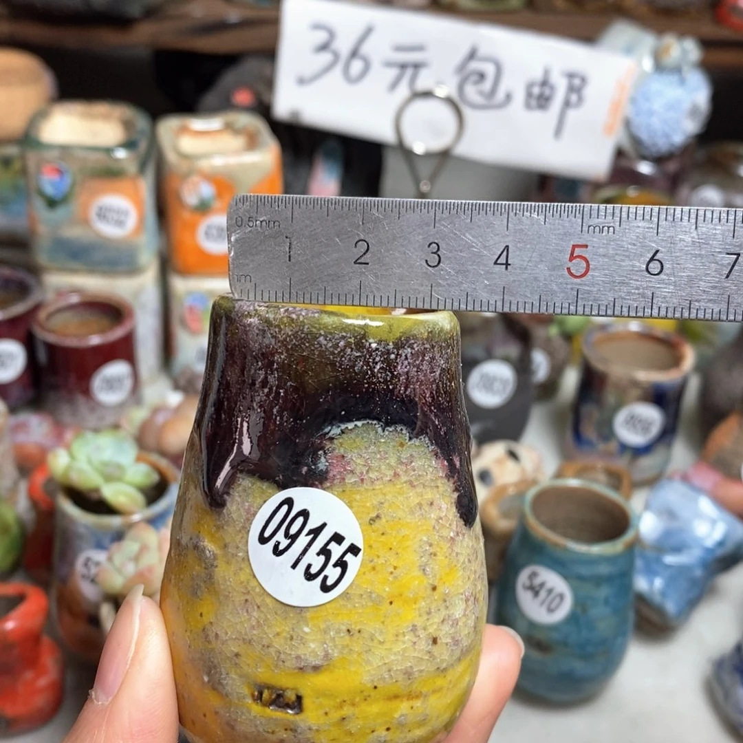 花盆拍5送一个小礼物