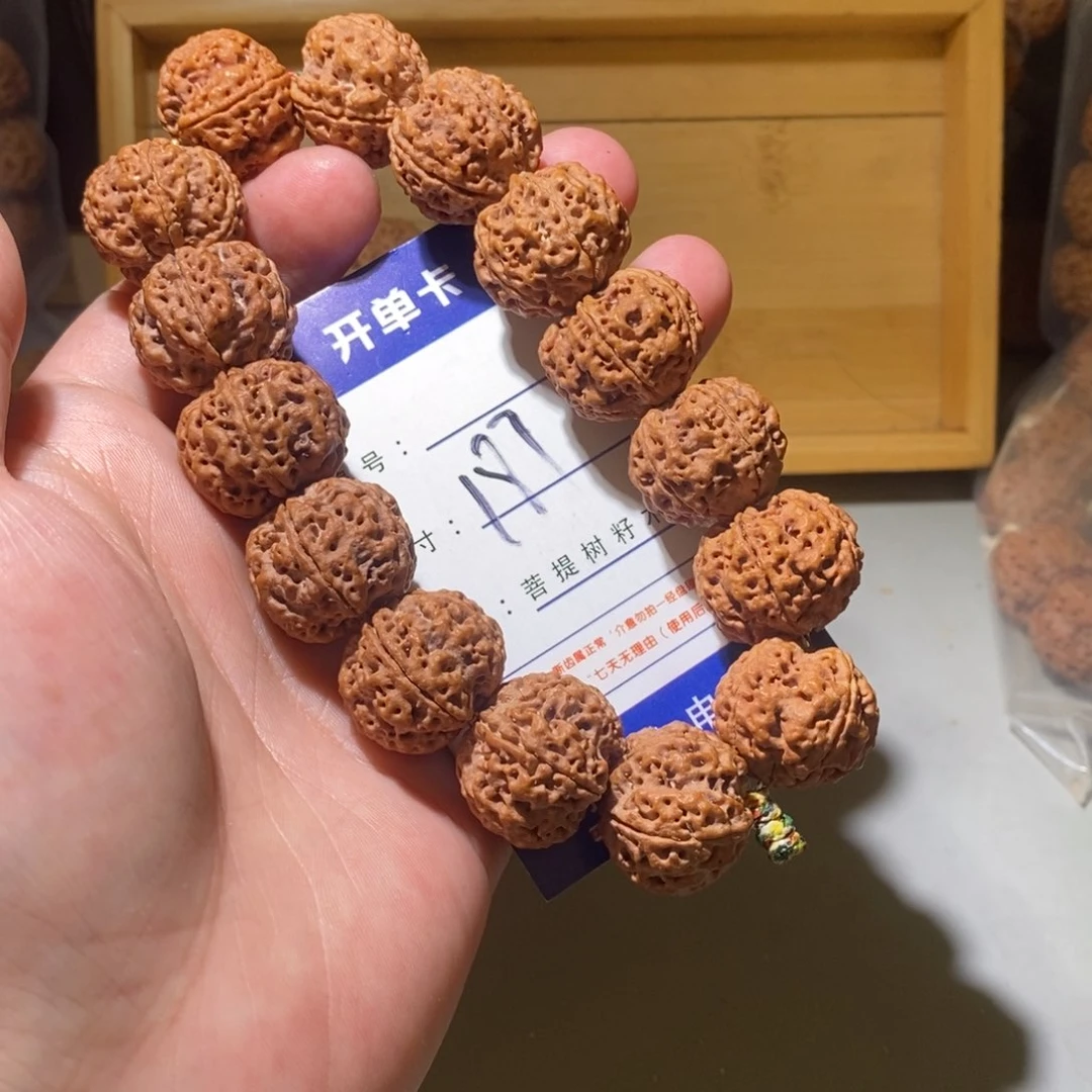 手串金刚菩提187号尺寸22满肉双龙