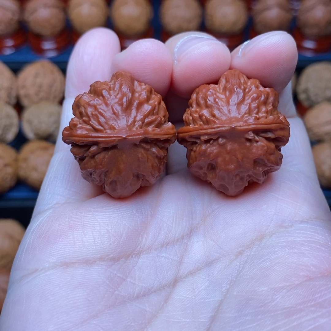 文玩核桃把件家****鸟手捻霸王龙