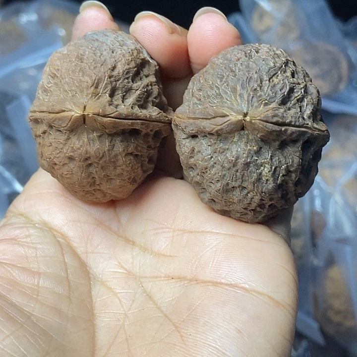 文玩核桃把件云南铁核桃基地49