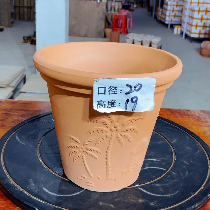 【闪购商品】椰树20×19-1