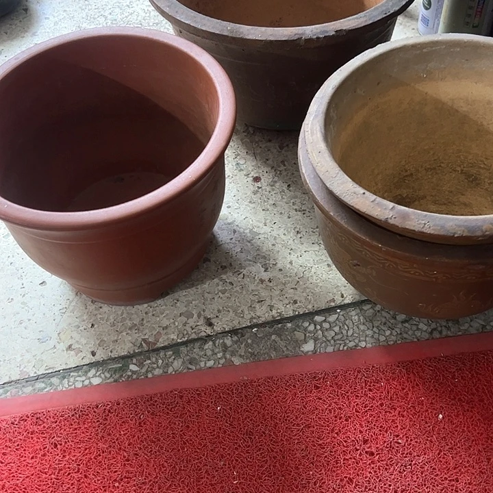 红陶丰****1。。。。。。。。。。。。