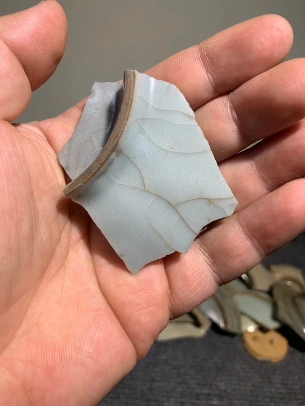 龙泉窑，残片标本青瓷