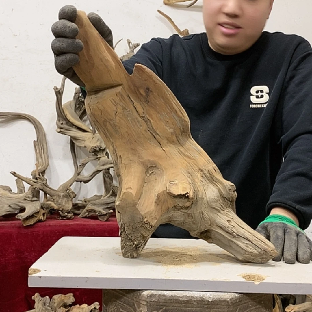 【闪购商品】柏木展****）我们都是好孩子