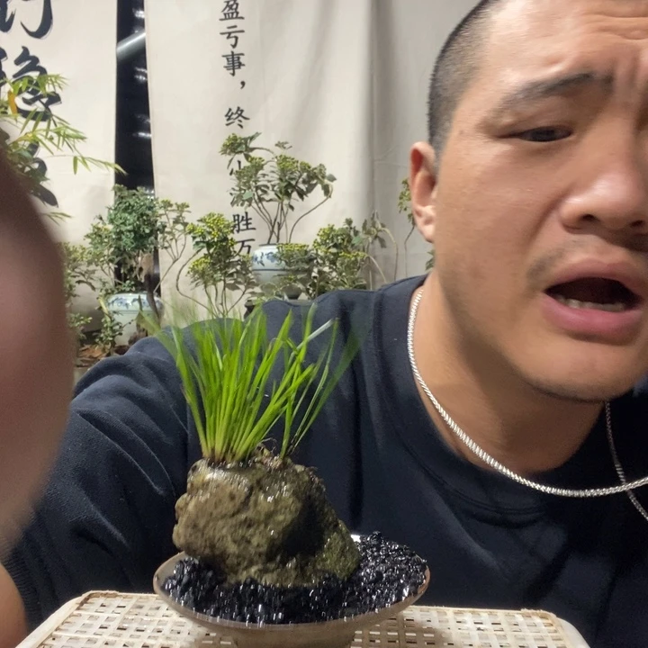 无花朵退款拉黑拉黑29