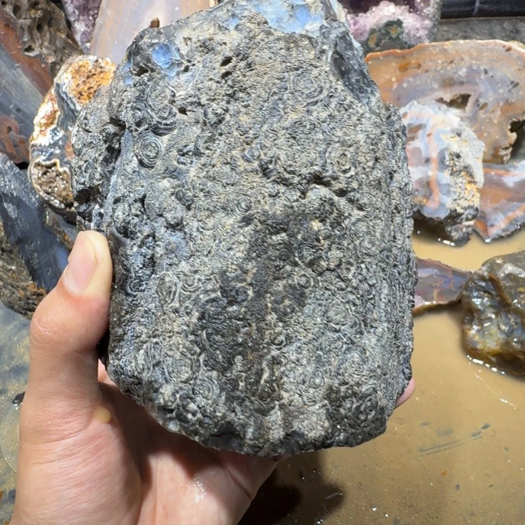 未镶嵌玛瑙/玉髓珠宝半成品