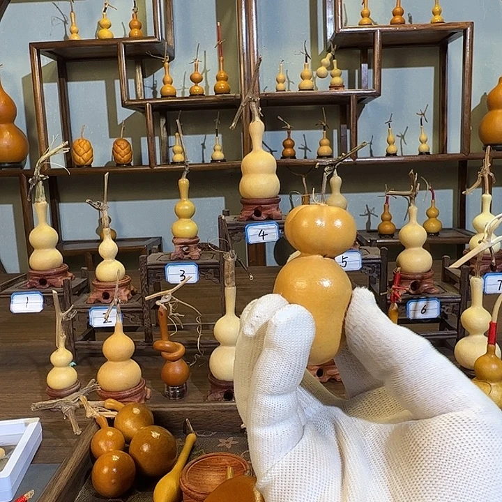 大***龙蚂蚁蚂蚁蚂蚁蚂蚁