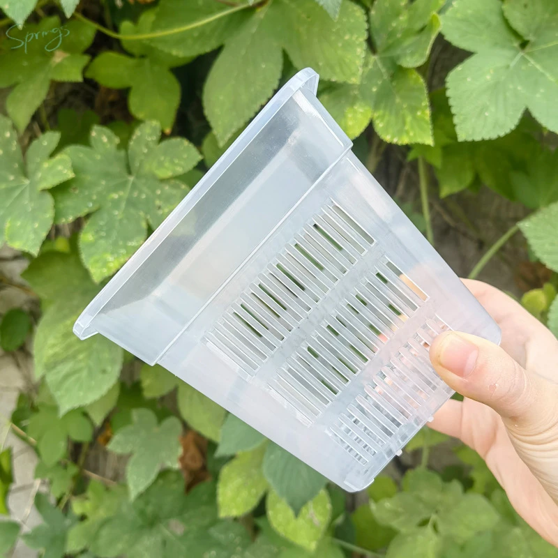 兰花花盆大号加厚透气塑料花盆控根盆蝴蝶兰定植篮洋兰绿萝透明篮