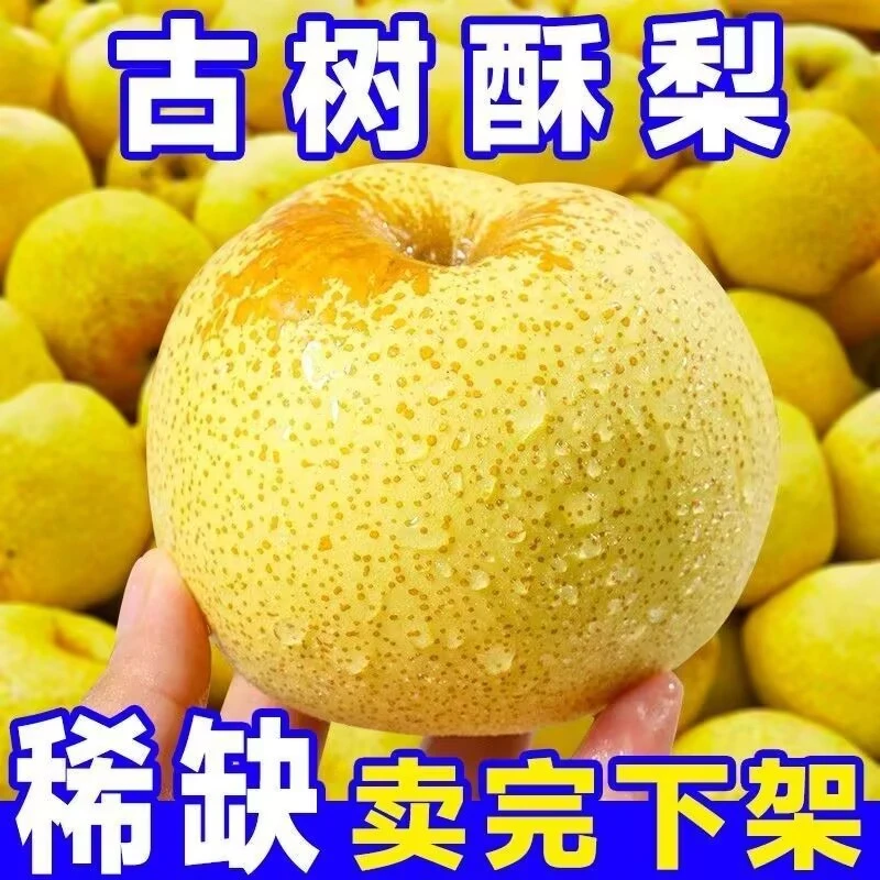 【爆甜】正宗砀山酥梨脆甜薄皮当季水果梨子10/5/1斤整箱非皇冠梨