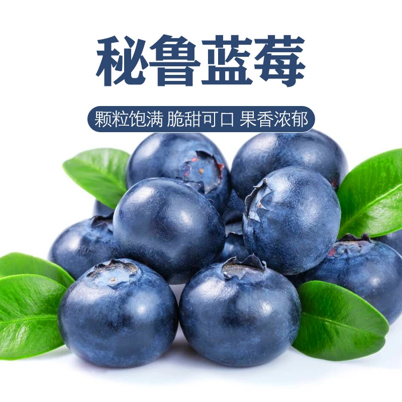【坏果包赔】秘鲁OZ蓝莓18+6盒1.5斤 12盒原箱净3斤