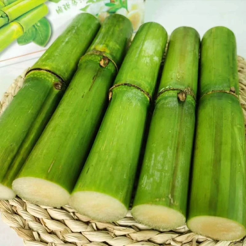 云南黄皮甘蔗脆甜多汁当季新鲜水果